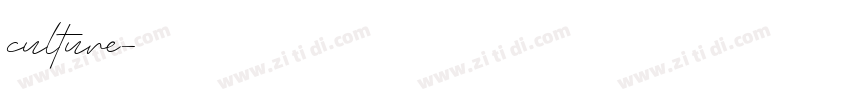 culture字体转换