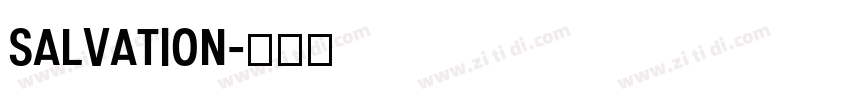 Salvation字体转换