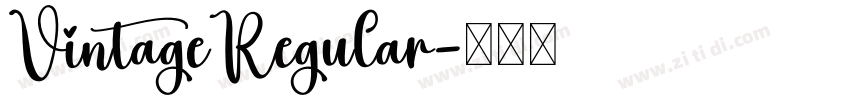 VintageRegular字体转换