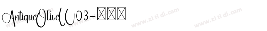 AntiqueOliveW03字体转换