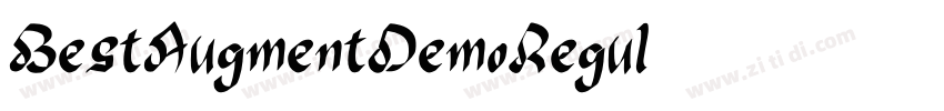 BestAugmentDemoRegul字体转换