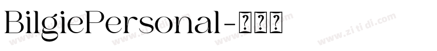 BilgiePersonal字体转换