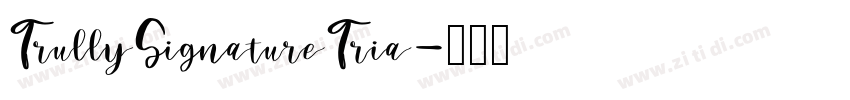 TrullySignatureTria字体转换