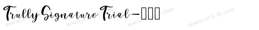 TrullySignatureTrial字体转换