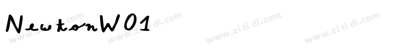 NewtonW01字体转换
