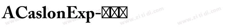 ACaslonExp字体转换