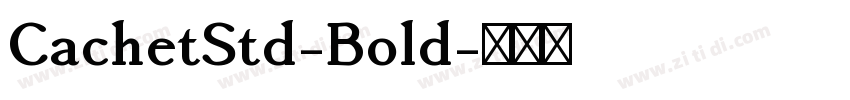 CachetStd-Bold字体转换
