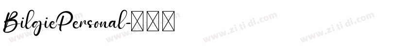BilgiePersonal字体转换