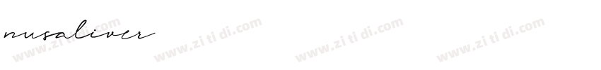 nusaliver字体转换