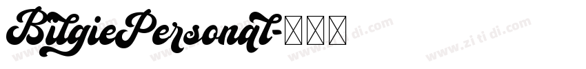 BilgiePersonal字体转换