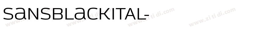 SansBlackITAL字体转换