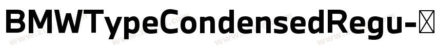 BMWTypeCondensedRegu字体转换 BMWTypeCondensedRegu字体转换