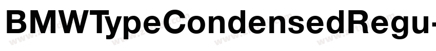 BMWTypeCondensedRegu字体转换 BMWTypeCondensedRegu字体转换