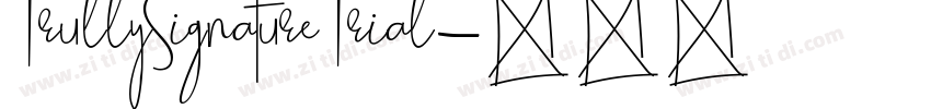 TrullySignatureTrial字体转换
