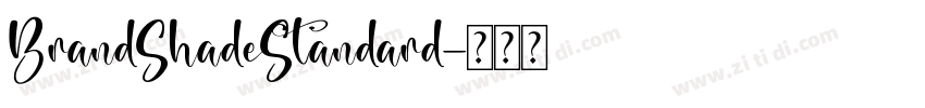 BrandShadeStandard字体转换