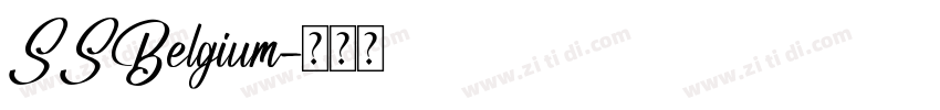 SSBelgium字体转换