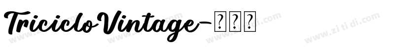 TricicloVintage字体转换