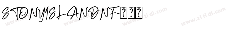 STONYISLANDNF字体转换