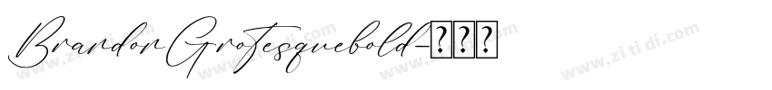 BrandonGrotesquebold字体转换