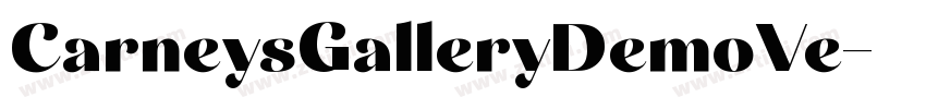 CarneysGalleryDemoVe字体转换