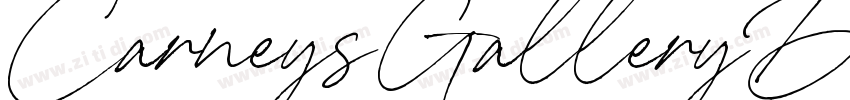 CarneysGalleryDemoVe字体转换