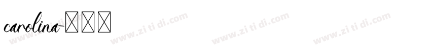 carolina字体转换