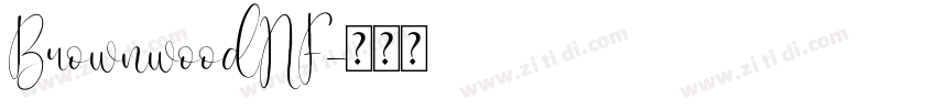 BrownwoodNF字体转换