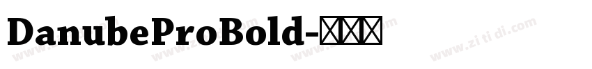 DanubeProBold字体转换