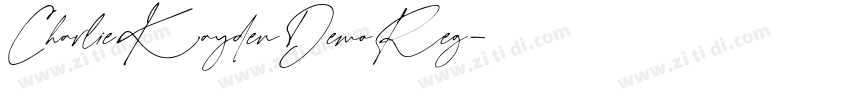 CharlieKaydenDemoReg字体转换