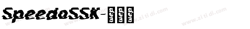 SpeedoSSK字体转换