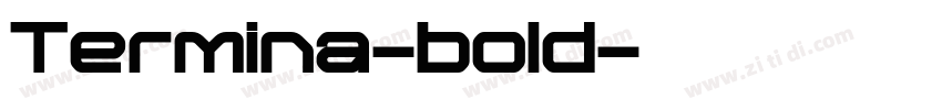 Termina-bold字体转换