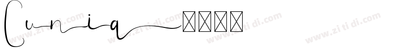 Cunia字体转换