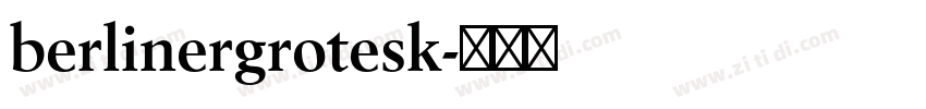 berlinergrotesk字体转换