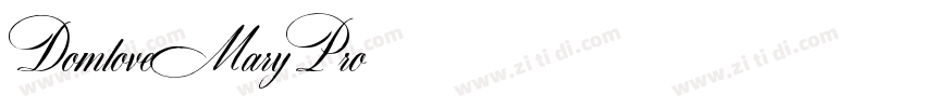 DomloveMaryPro字体转换