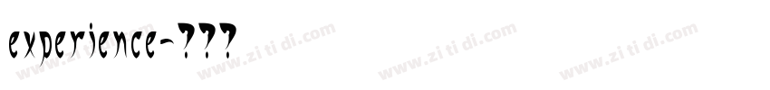 experience字体转换