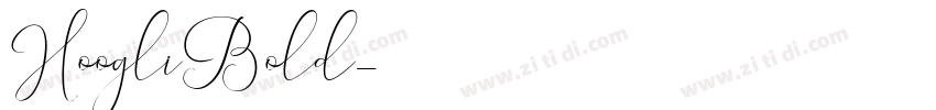 HoogliBold字体转换