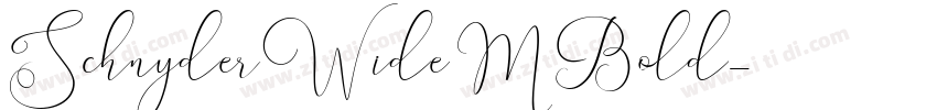 SchnyderWideMBold字体转换