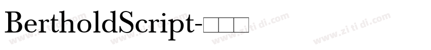 BertholdScript字体转换