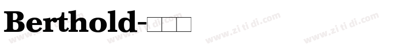 Berthold字体转换