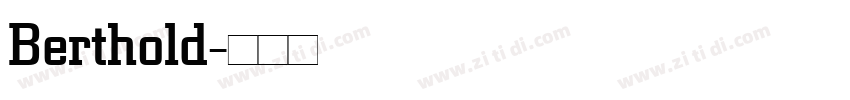 Berthold字体转换