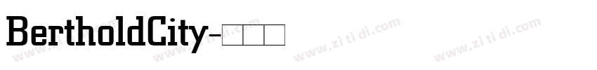 BertholdCity字体转换