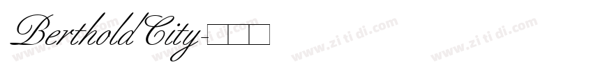 BertholdCity字体转换