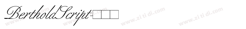 BertholdScript字体转换