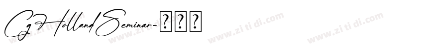 CgHollandSeminar字体转换