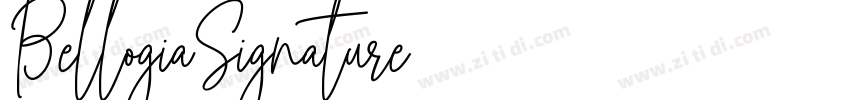 BellogiaSignature字体转换