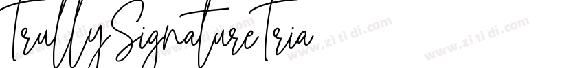 TrullySignatureTria字体转换