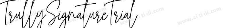 TrullySignatureTrial字体转换