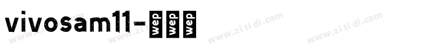 vivosam11字体转换