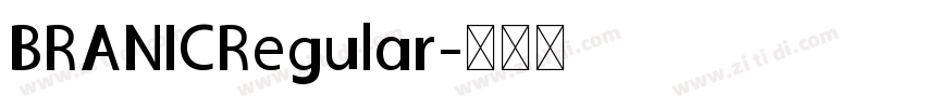 BRANICRegular字体转换