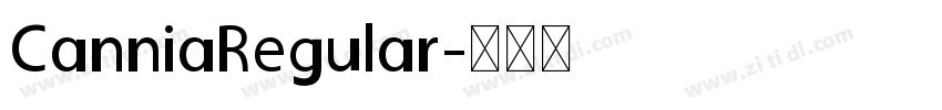 CanniaRegular字体转换